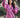 Vestido Pink Chic