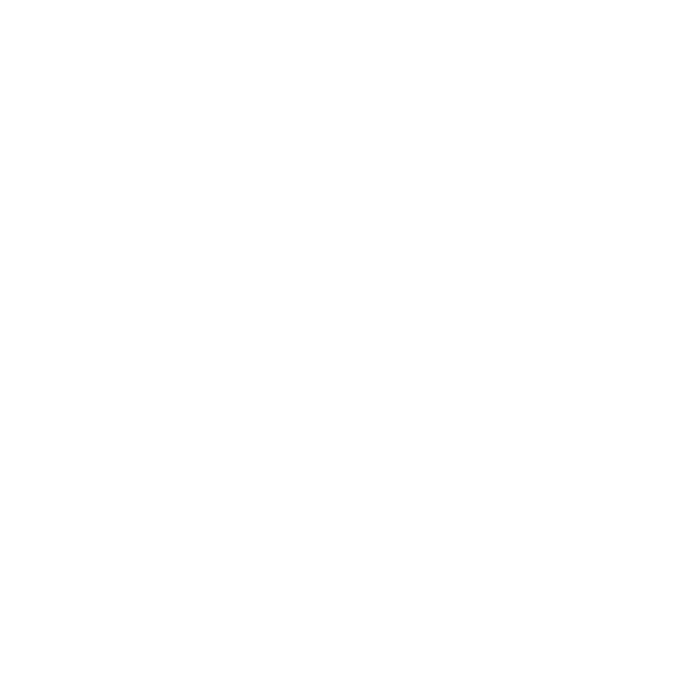 EVSA BOUTIQUE